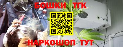 индика Гусиноозёрск