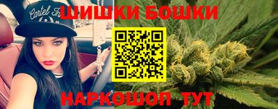 индика Гусиноозёрск