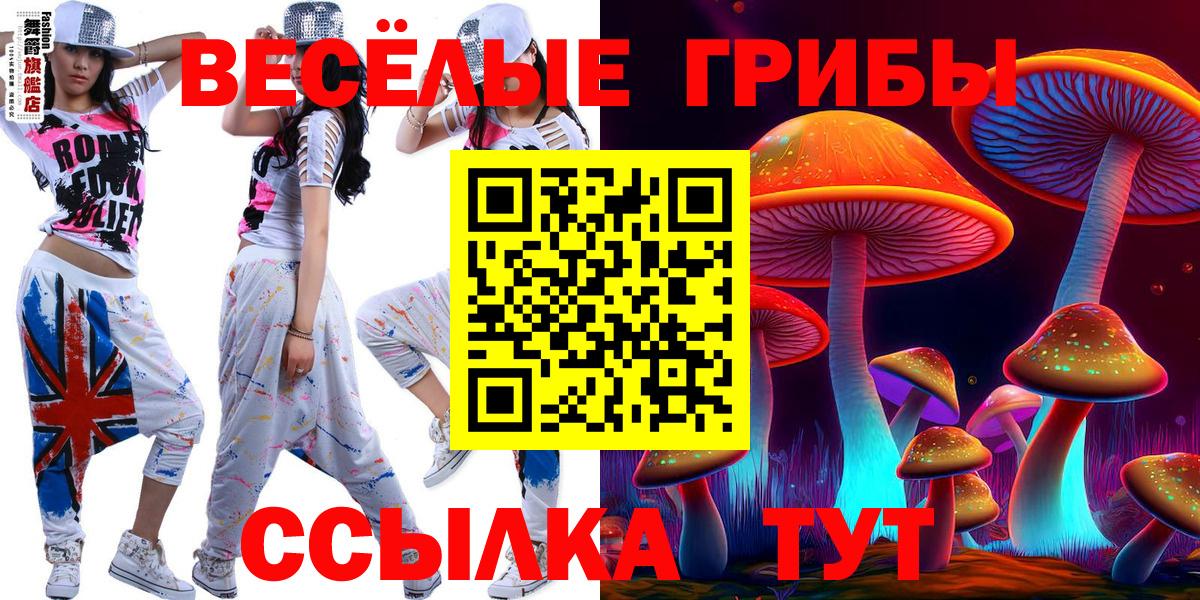 Кулебаки  Псилоцибиновые грибы мухоморы  Вход с VPN 